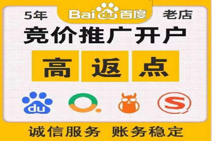 专业竞价SEM托管成功案例解析